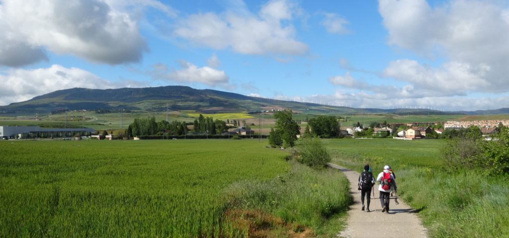 Pamplona to Uterga