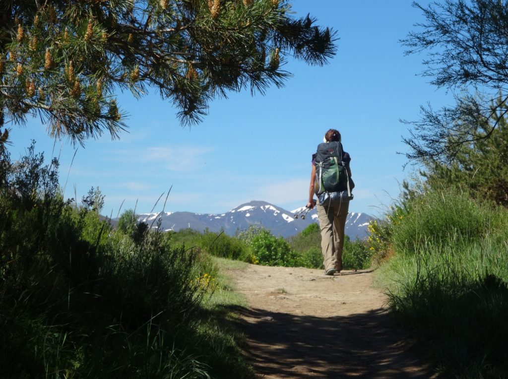 Path to Molinaseca, El Camino, Spain, Iberian Dreamer
